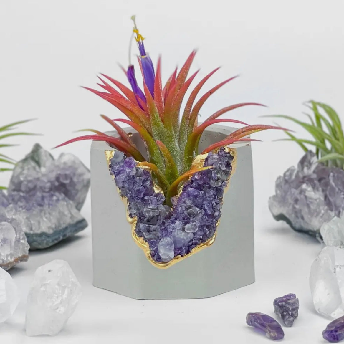 Amethyst Holder