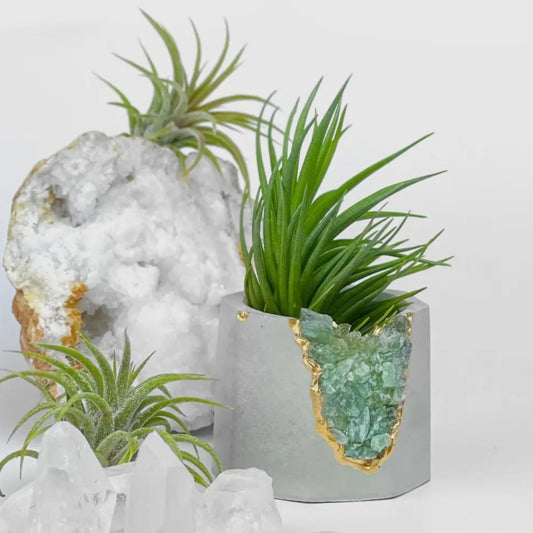 Green Apatite Holder