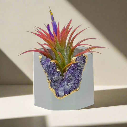 Amethyst Holder