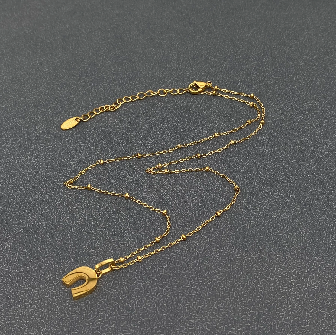 Lucky Horseshoe Necklace